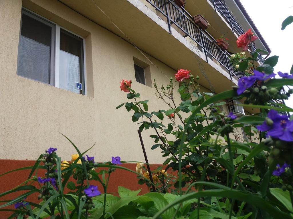 Vila Albatros Вама-Веке Екстер'єр фото
