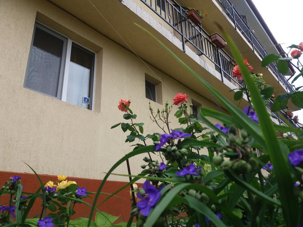 Vila Albatros Вама-Веке Екстер'єр фото