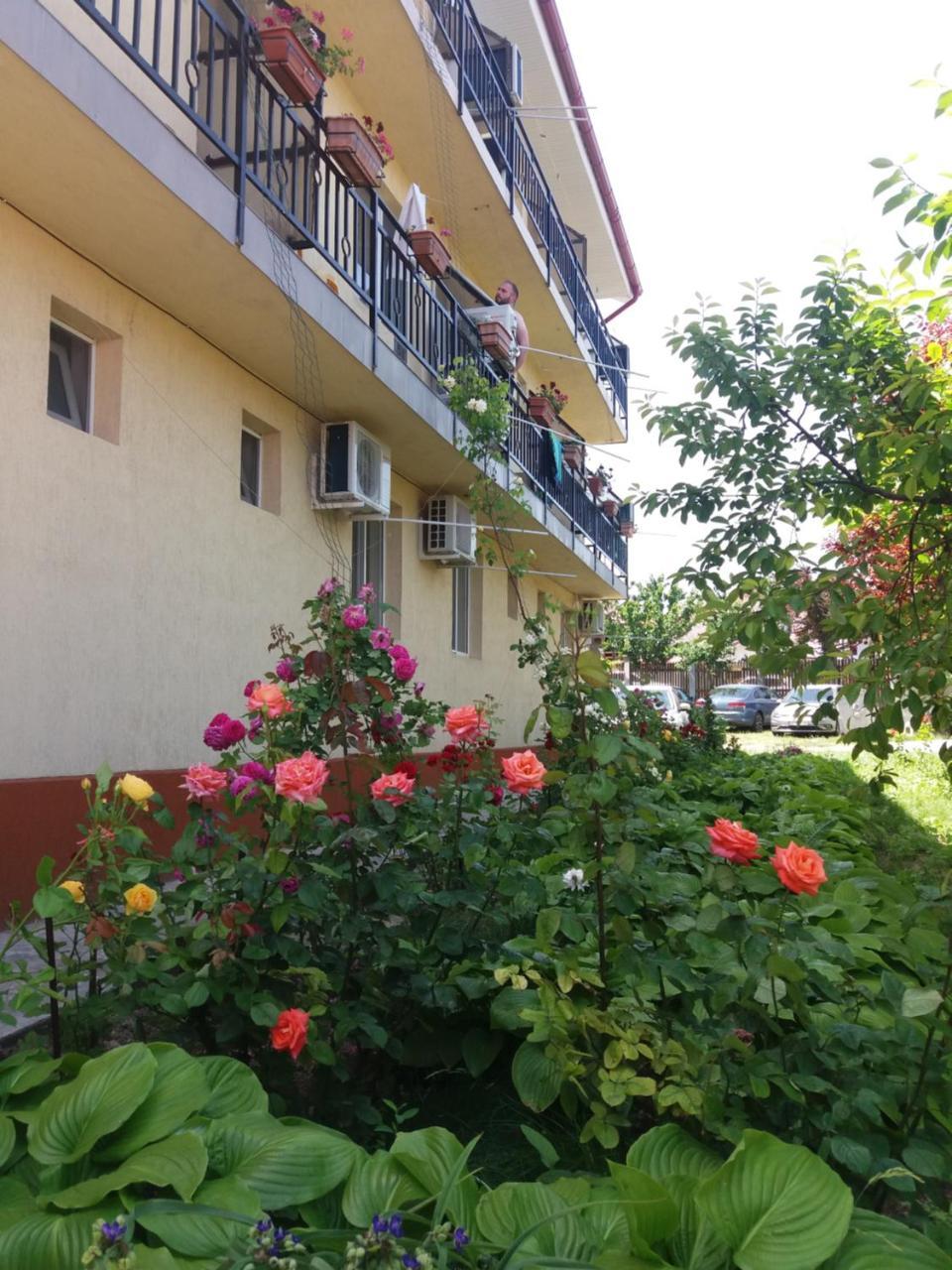 Vila Albatros Вама-Веке Екстер'єр фото